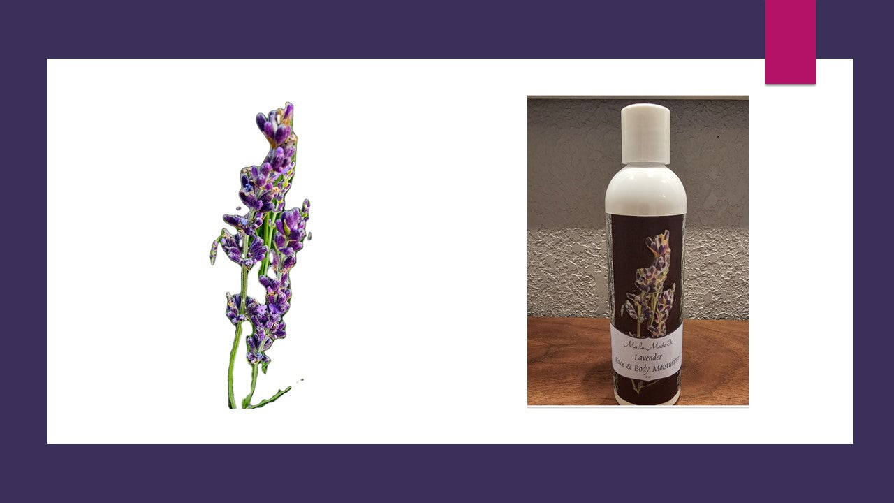8 OZ Lavender Face & Body Moisturizer