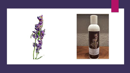 8 OZ Lavender Face & Body Moisturizer