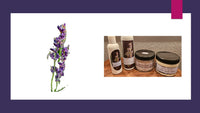 Lavender Skin Care Regimen Gift Set 1