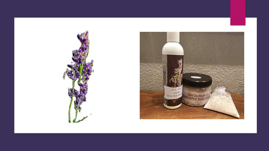 Lavender Skin Care Regimen Gift Set 7
